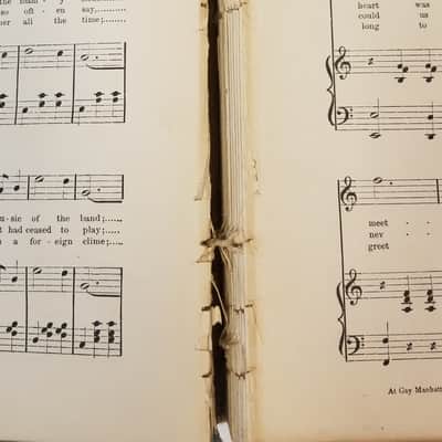Unknown Antique Music Book, "Pearls Of Music", 1895, Vocal And Instrumental image 7