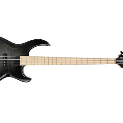 MTD Kingston Kingston Saratoga Deluxe 4 Trans Black Burst Gloss, Maple Fretboard image 4