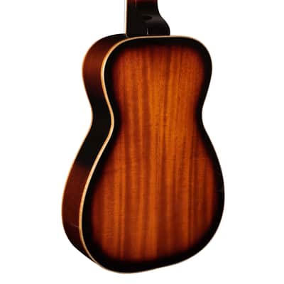 GOLD TONE PBS-M Paul Beard square-neck Mahogany RESONATOR guitar DOBRO w/ CASE new image 9