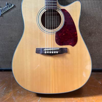 IBANEZ PF10 acoustic guitars for sale in USA | guitar-list