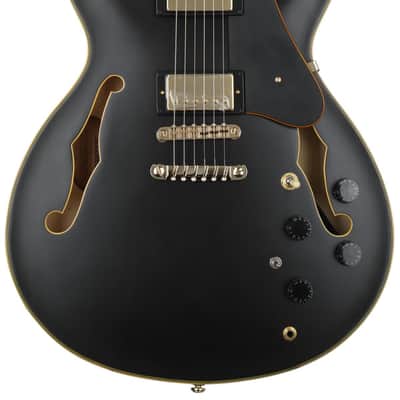 Ibanez John Scofield Signature JSM20 - Black Low Gloss image 1
