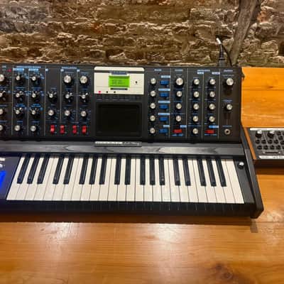 Moog Minimoog Voyager 50th Anniversary Edition 44-Key Synthesizer - Black image 6