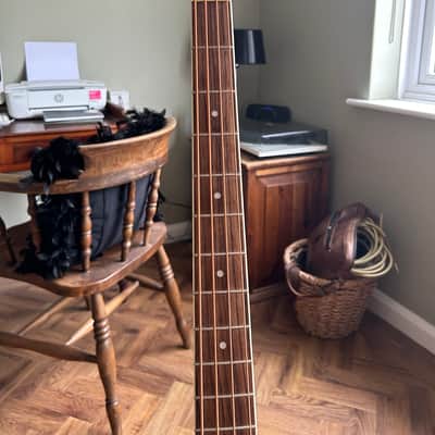 Eko Acoustic bass 2010 image 5
