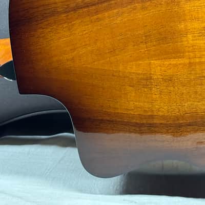 Taylor 224ce-K DLX Deluxe Grand Auditorium Acoustic-Electric Guitar with Case 2017 image 12