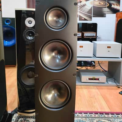 SCANSONIC BY RAIDHO Q10 image 9