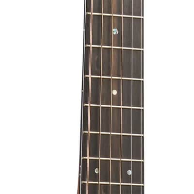 CS D-18 Adirondack image 4