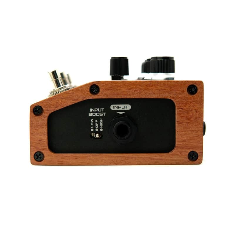 DSM & Humboldt Electronics Dumblifier Overdrive Special image 5