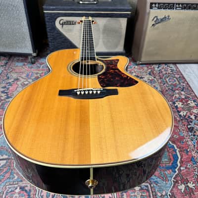 Takamine DMP050S OM Style w/Case and Candy 2012 image 11