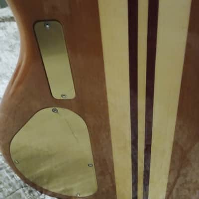 Alembic CUSTOM 1994 image 9