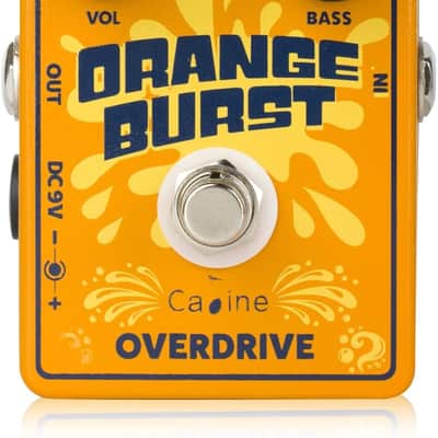 Caline CP-516 2024 - Orange image 1