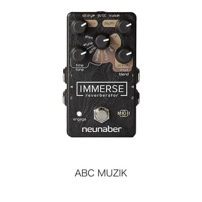 Neunaber Immerse Reverberator MkII Reverb Pedal image 1