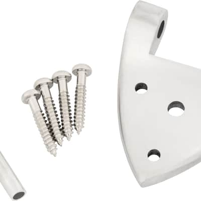 Bigsby B3/6C Gretsch Hinge with Hinge Pin and Screws, Chrome, 006-1720-006 image 1