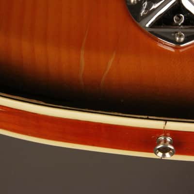 Immagine Ampeg/Burns TR2 solid carved top/back 1963-64 Sunburst - 11
