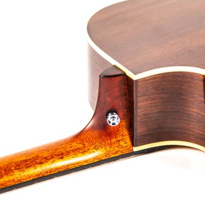 Breedlove Pro Series D25/SRH Acoustic Guitar Owned by Dave Mustaine image 16