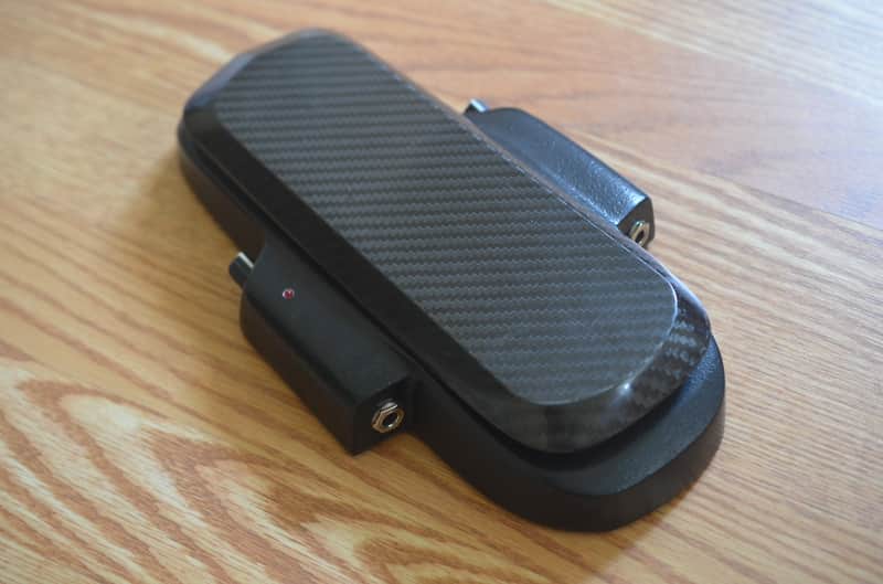 Roger Mayer Vision Wah image 1