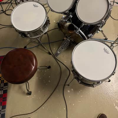 Remo Acousticon SE Shell, Black Quadura 80s - Black image 2