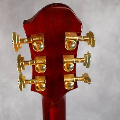 Teye Super Coyote Electric Gypsy Circa 2015 image 8