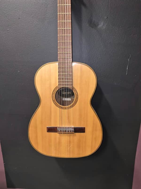 Giannini awn21 1978 - brown