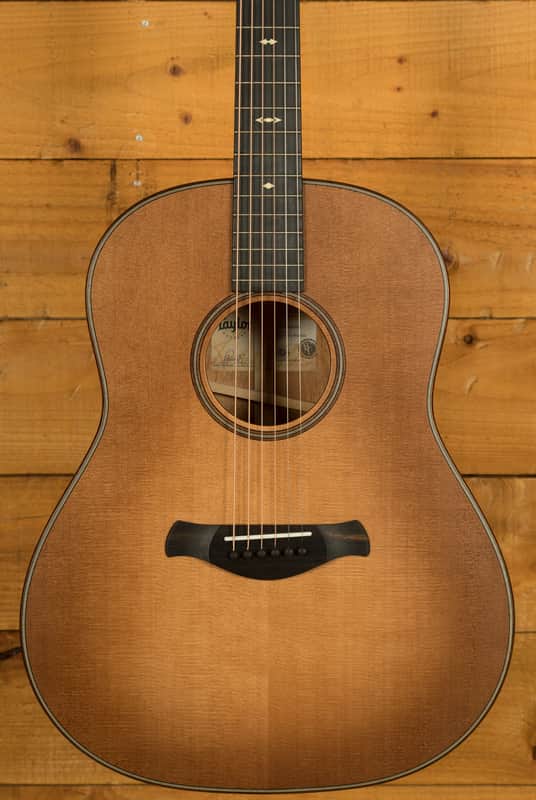 Taylor 500 Series | Builder's Edition 517 - Wild Honey Burst