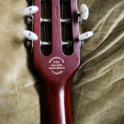 Godin Multiac Steel Duet image 4