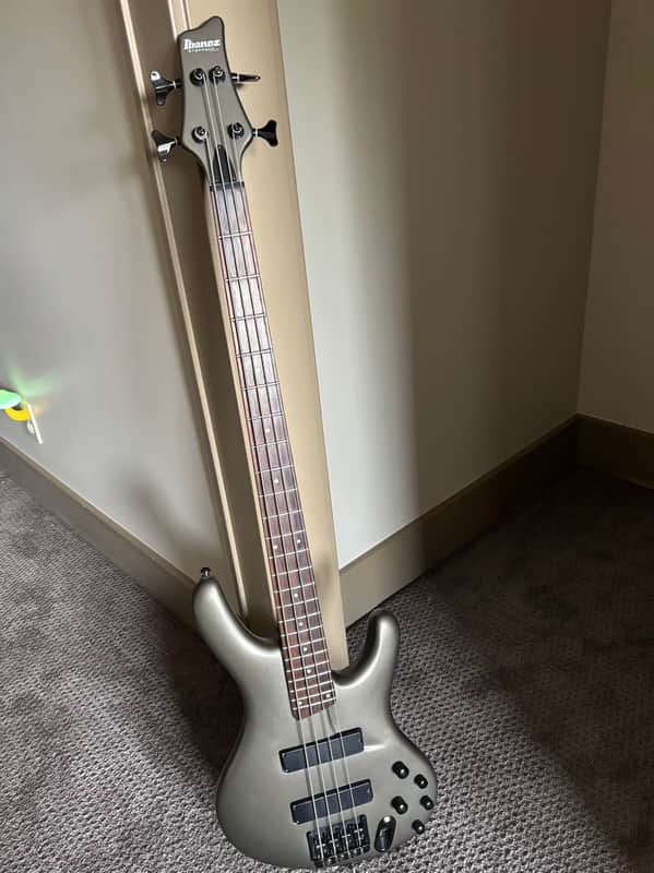 Ibanez Ergodyne