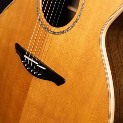 Avalon Pioneer L2-30C Custom with LR Baggs pickup 2019 *Rare one off build* image 9
