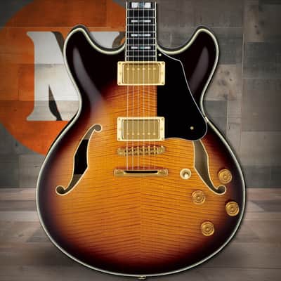 Ibanez John Scofield Signature  6 String Electric Guitar w/Case - Vintage Sunburst (JSM100VT) image 1