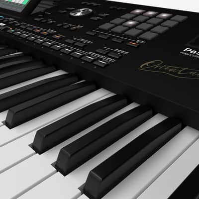 Korg PA5X Oriental 76-key Arranger Workstation Keyboard STAGE KIT image 4