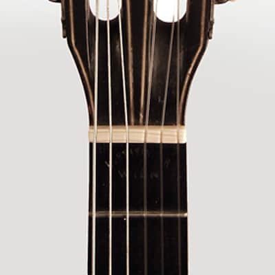 Ludwig Reisinger Viennese Classical Guitar (late 19th Century), hard shell case. image 4