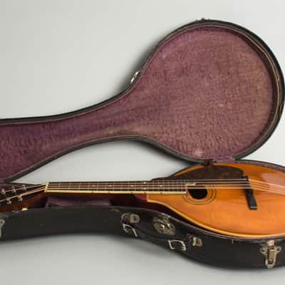 Gibson Style H-1 Carved Top Mandola (1917), ser. #42xxx, original black hard shell case. image 10