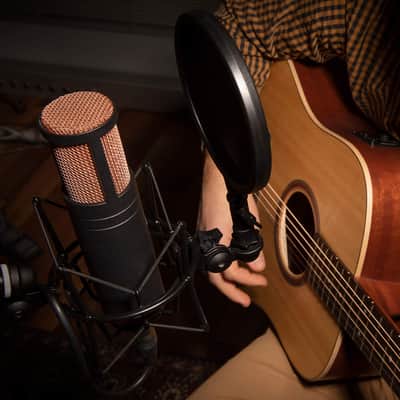 Antelope Audio Edge Duo Double Membrane Condenser Modeling XLR Microphone image 5