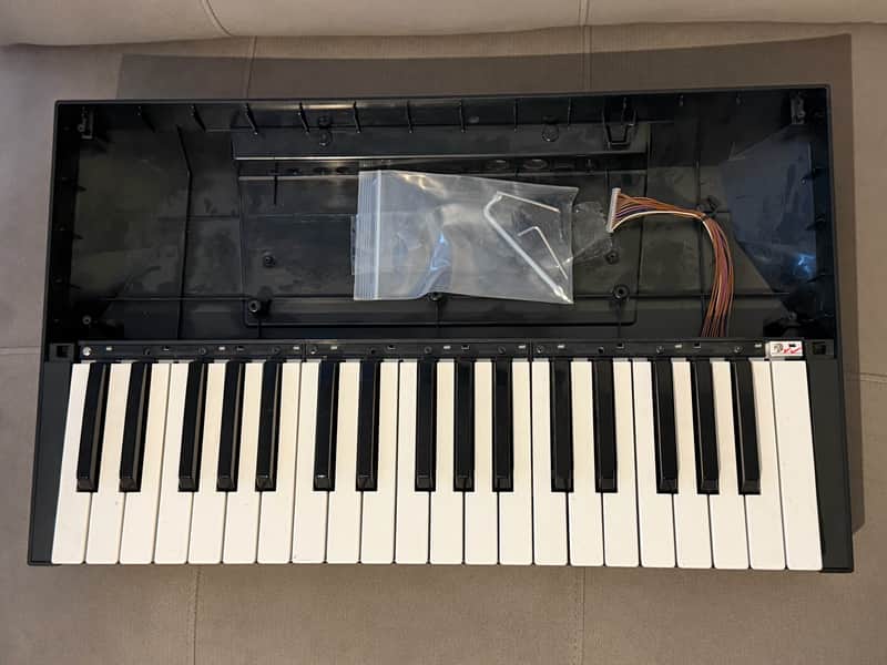 Korg Opsix/Modwave/Wavestate Keybed image 1