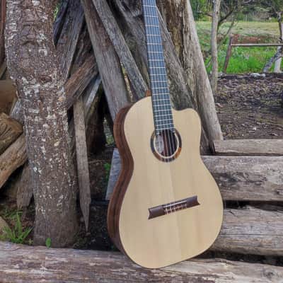 Made to order Handmade Guitar Crossover Solid Woods Brazil French Polish image 16