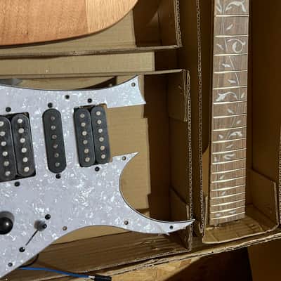 Open Box Leo Jaymz S V Style Electric Guitar DIY Project Kit Leo Jaymz image 4