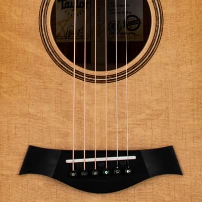 Taylor Custom Shop Select K18ce #94105 (NAMM) Bild 10
