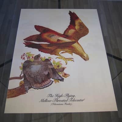 Fender Telecaster & Twin Reverb Authentic Vintage Poster "The High-Flying Mellow-Throated Telecaster" with Version B Bonus Poster Artist Endicott Circa-1976-Multi Color image 9