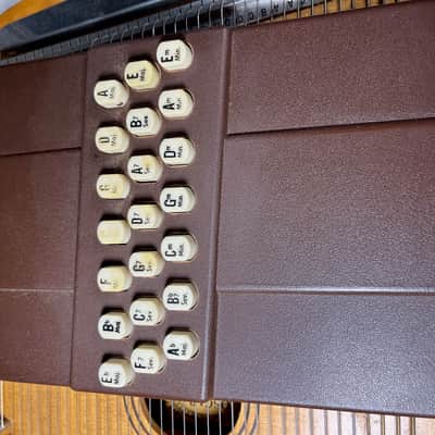 Vintage Appalachian Autoharp Oscar Schmidt 45C/R with case image 6
