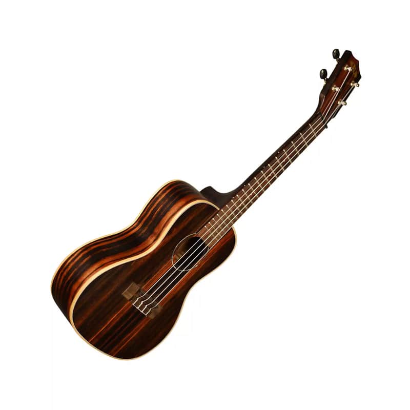 Kala KA-EBY-C Ebony Concert Ukulele image 1