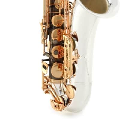 Sax Dakota SDT-XG-606 XG Series Tenor Saxophone - Black Onyx Body  Silver-plated Bell and Neck image 2