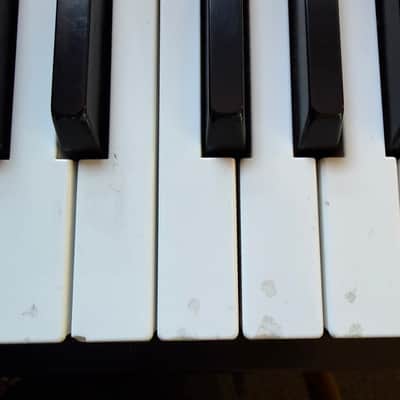 Ensoniq TS-12 Performance / Composition Synthesizer 1993 - 1996 - Black image 6