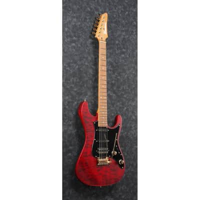 Ibanez Scott LePage SLM10-TRM image 4
