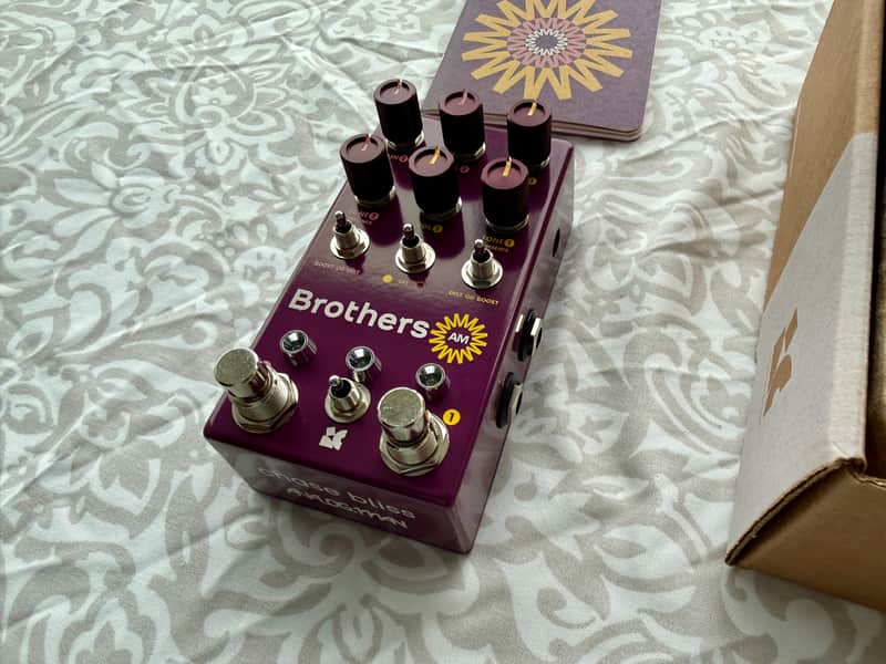 Chase Bliss Audio Brothers AM