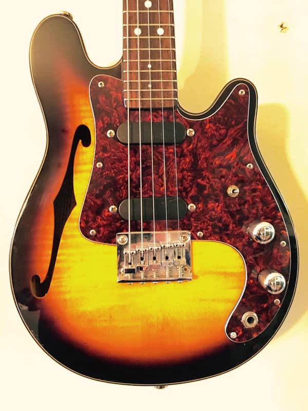 Fender FM-60 -RARE- Electric Mandolin 5 String Sunburst | Reverb