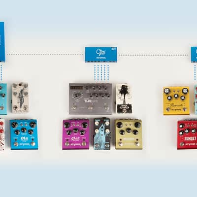 Strymon Zuma R300 image 14