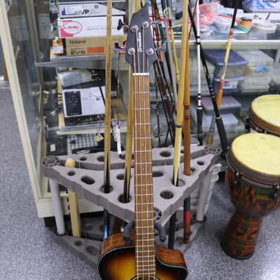 Breedlove Discovery S Concert Bass CE 2021 - Present - Edgeburst image 3