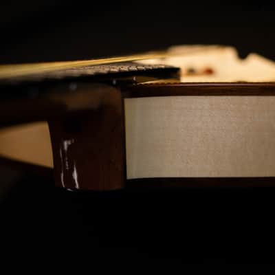 Pedro Santos 8-String Mandolin | Brazil 2024 image 6