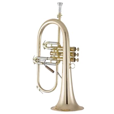 Hub Van Laar OIRAM Sandoval Flugelhorn - Gold Plate | Reverb