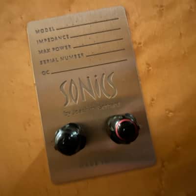 Sonics Anima by Joachim Gerhard with Class D Amp image 5