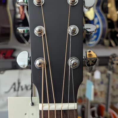 Eastman Eastman PCH3-GACE-FB Acoustic/Elec. w/padded bag, setup, & shipping image 11