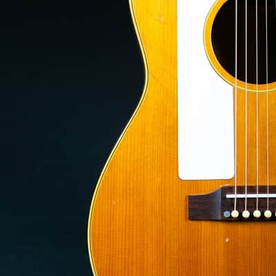 Gibson F-25 1965 image 14